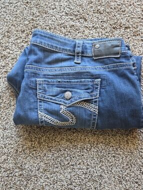 Silver Plus Size Capris
